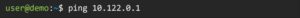 Penggunaan perintah Ping pada Linux