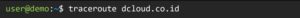 Contoh penggunaan traceroute